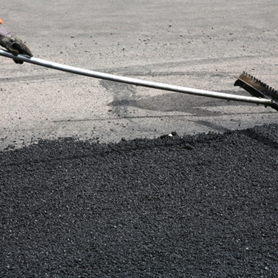 Chemical & petrochemical raw materials